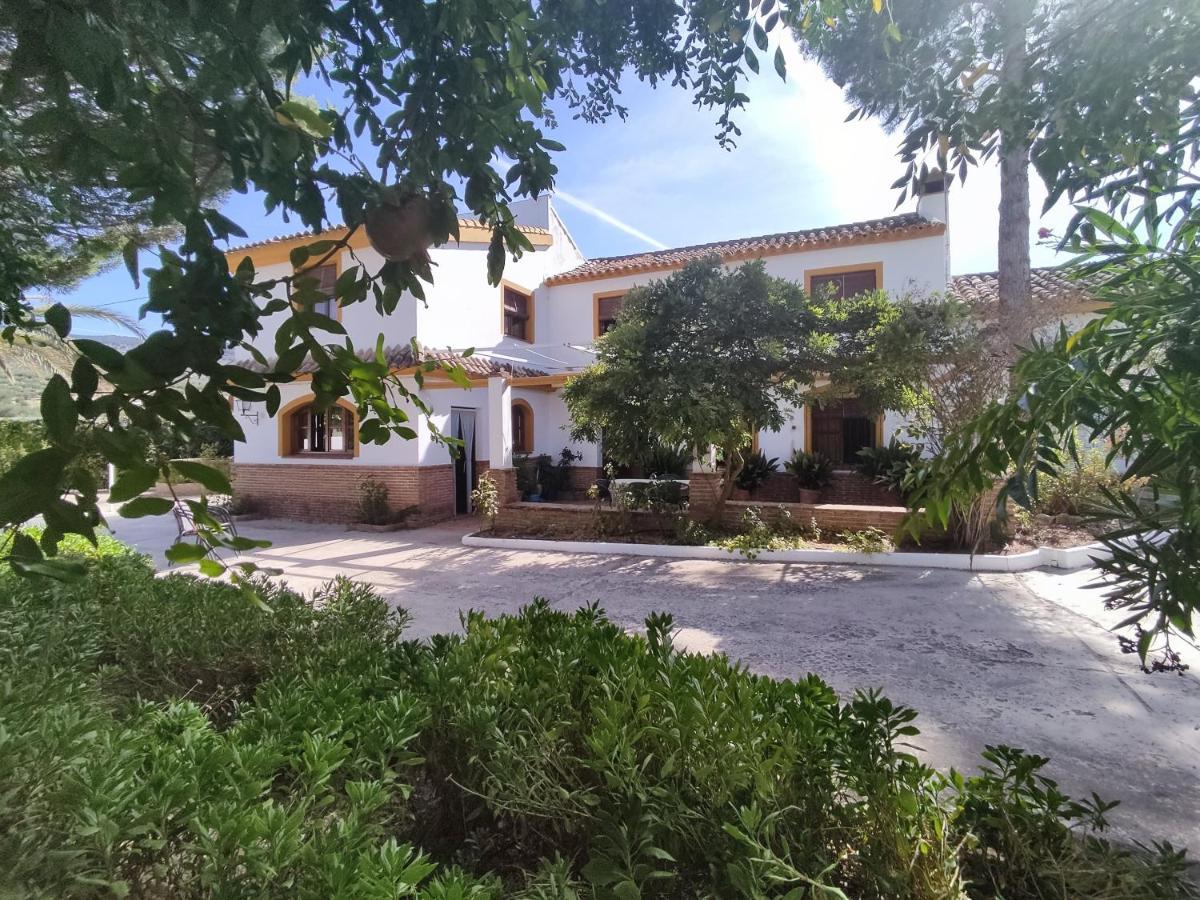 Paredejas Del Rey Priego de Córdoba Εξωτερικό φωτογραφία