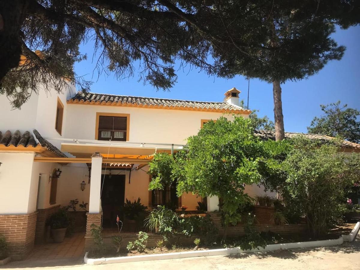 Paredejas Del Rey Priego de Córdoba Εξωτερικό φωτογραφία